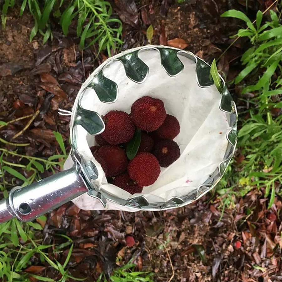 Gardening Tools Bundle - 3-in-1 Fruit Harvesting Tool Set for