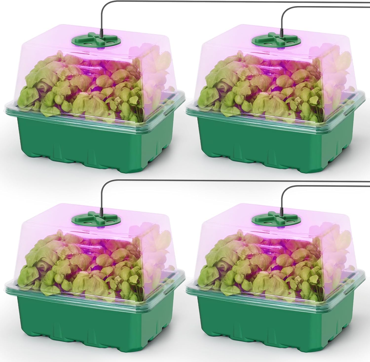 Seed Starter Trays - Seed Starter Kit with Grow Light,