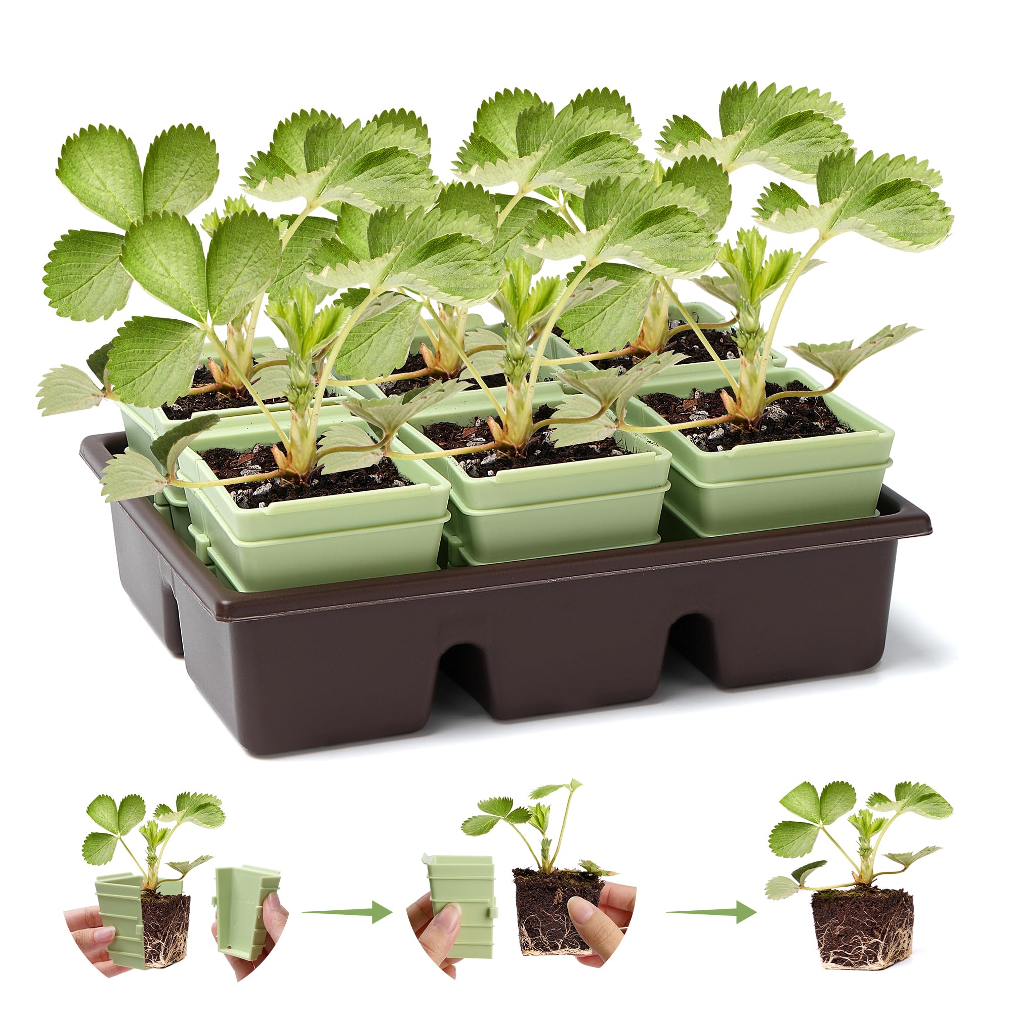 Seed Starter Trays - Side-Open Seed Starter Tray 8-Pack 48