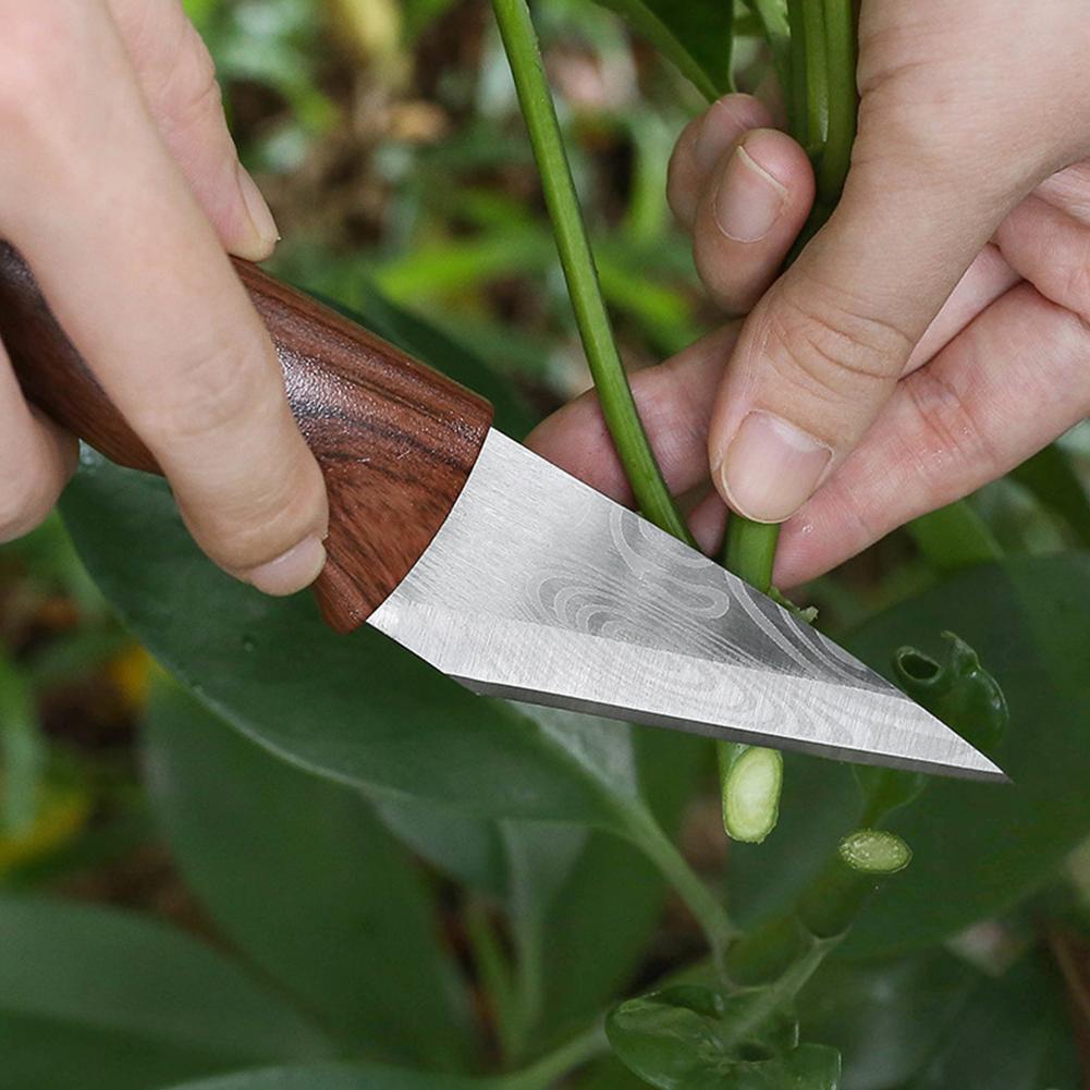 Multi-Functional Sharp Handhel - مراجعة Gardening Tools Sharp وسعره