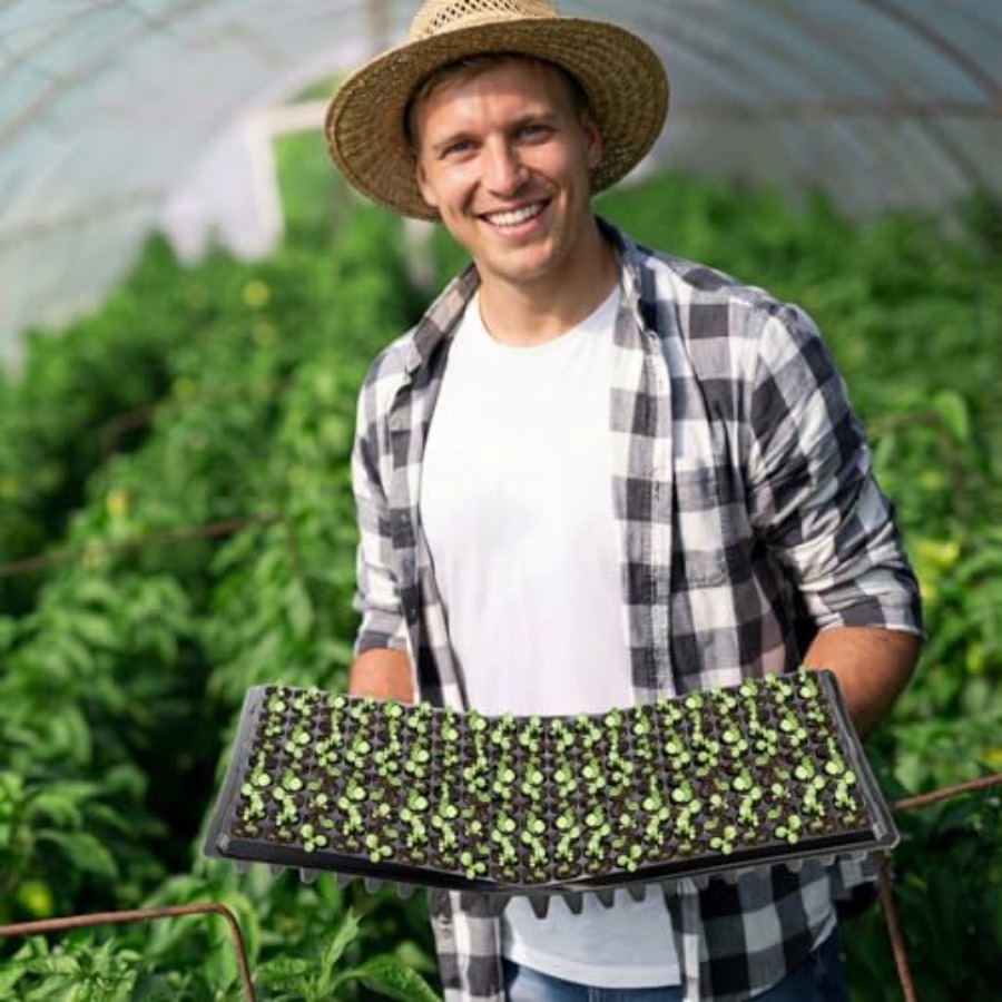 Pack 200 Cell Seedling Trays S - مراجعة Seed Starter Trays وسعره