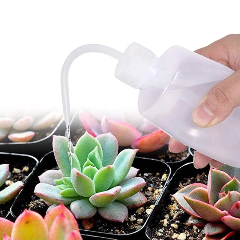 13Pcs Garden Planter Kit DIY S - مراجعة Gardening Tools Bundle وسعره