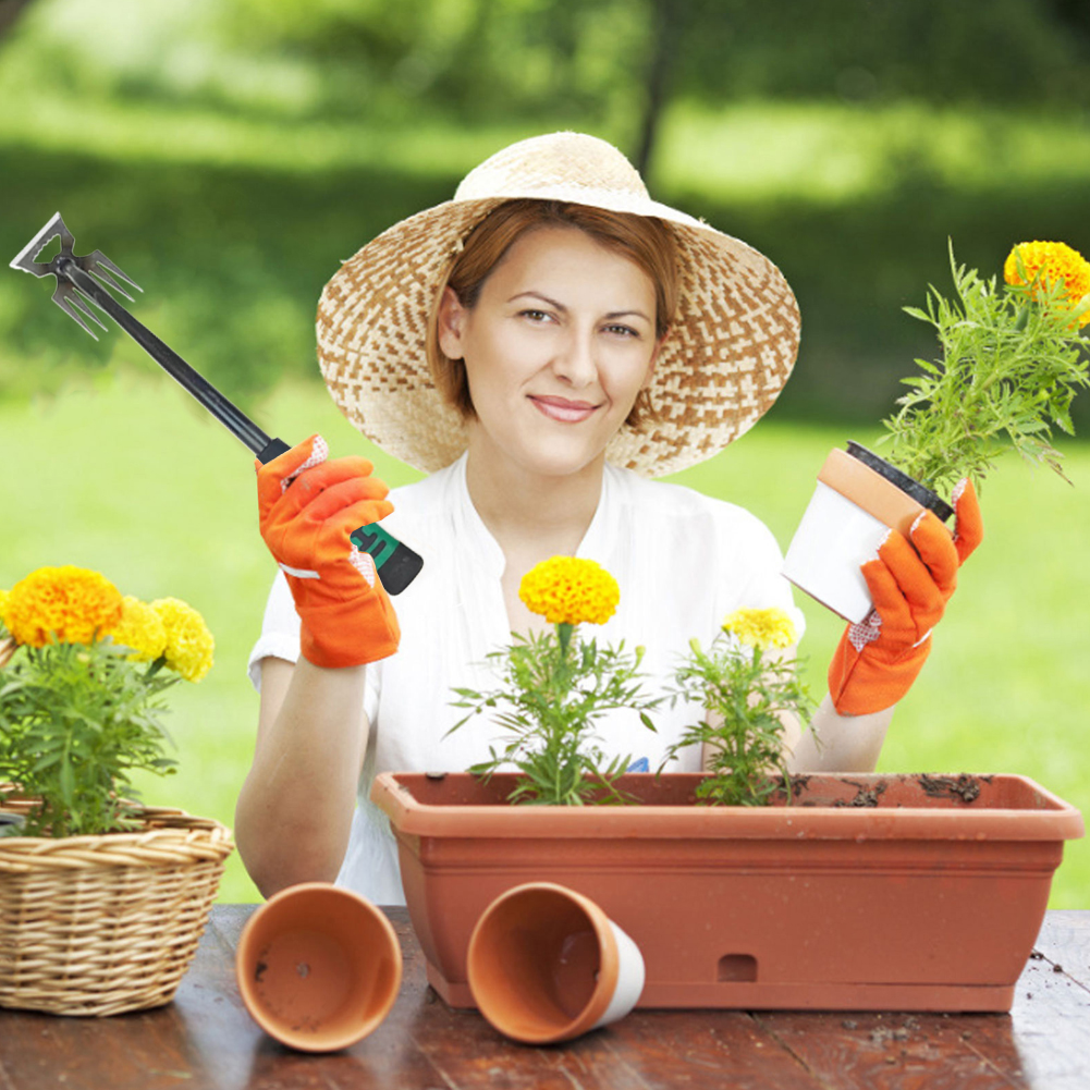 5/6/11 Tines Gardening Hand We - مراجعة Gardening Tools To Remove Grass وسعره