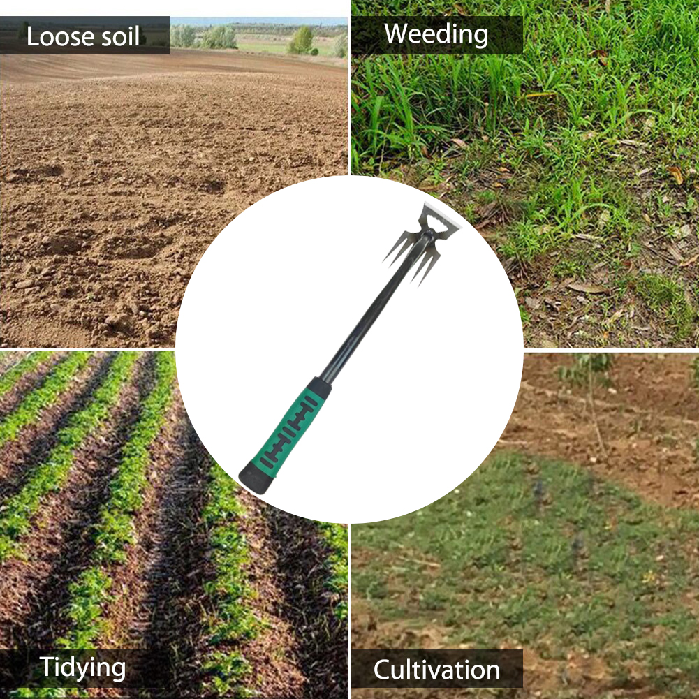 5/6/11 Tines Gardening Hand We - مراجعة Gardening Tools To Remove Grass وسعره
