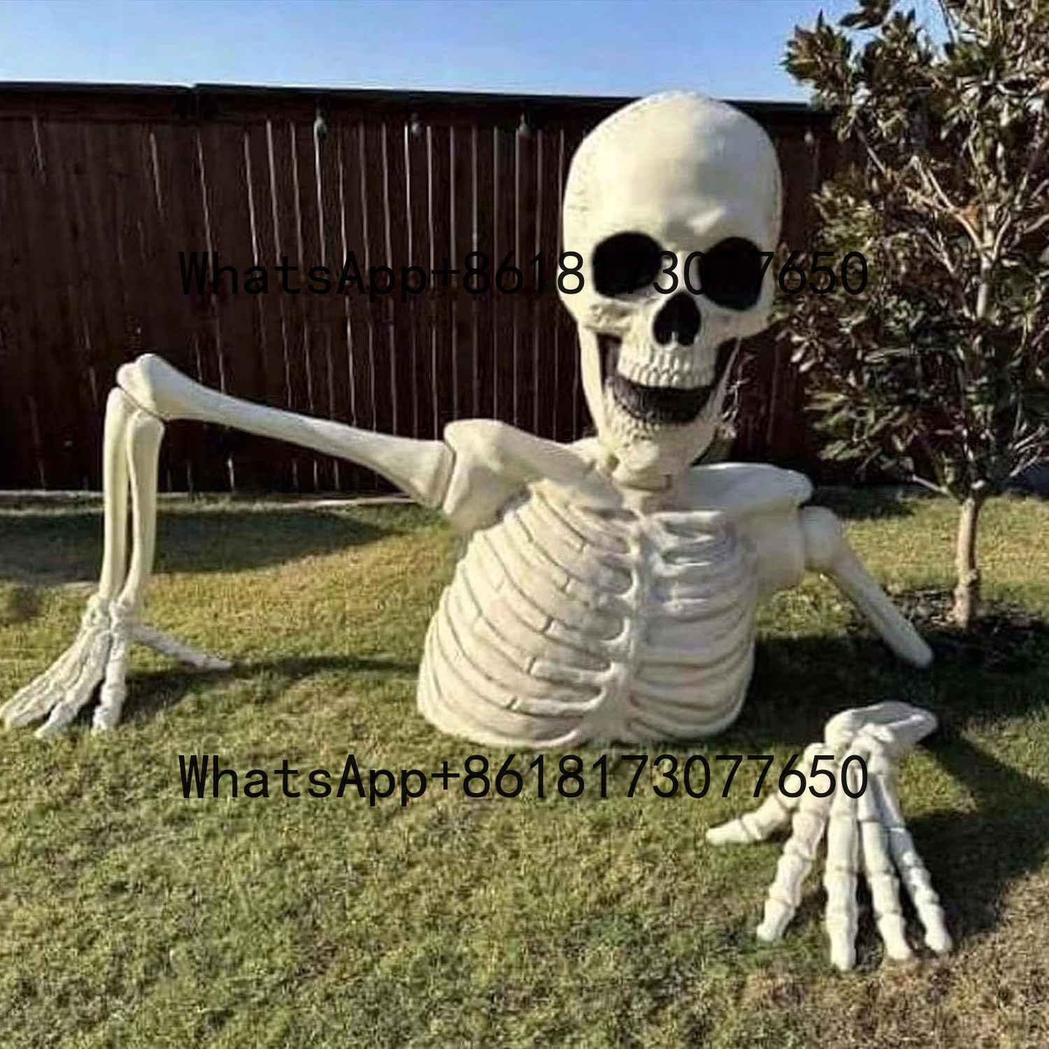 Terror 12-Foot Big Head Skelet - مراجعة Gardening Tools Big وسعره