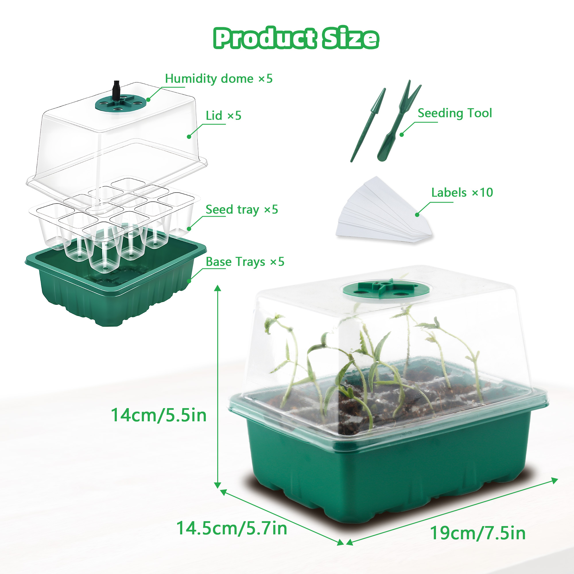 5pcs Seed Starter Tray with Gr - مراجعة Seed Starter Trays وسعره
