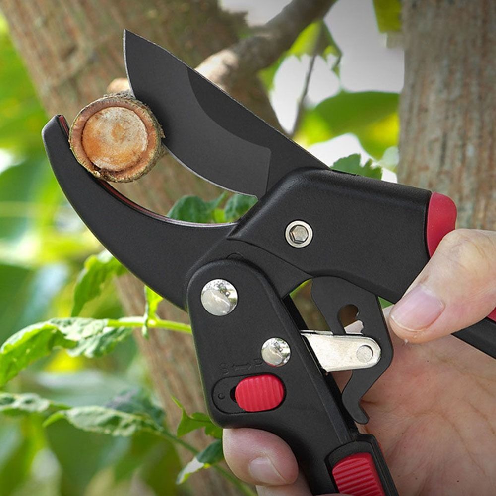 Adjustable Ratchet Gardening P - مراجعة Gardening Tools Sharp وسعره