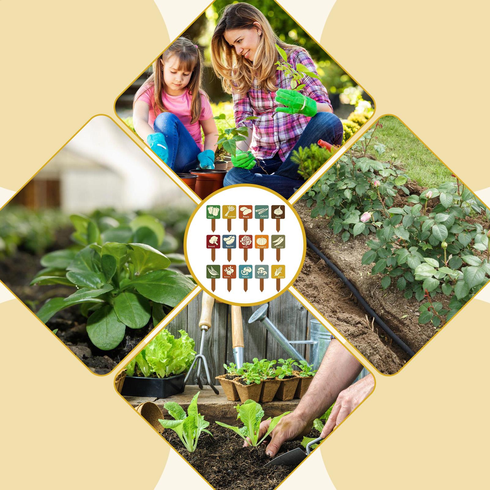 Garden Plant Markers 15 Pieces - مراجعة Garden Row Marker وسعره