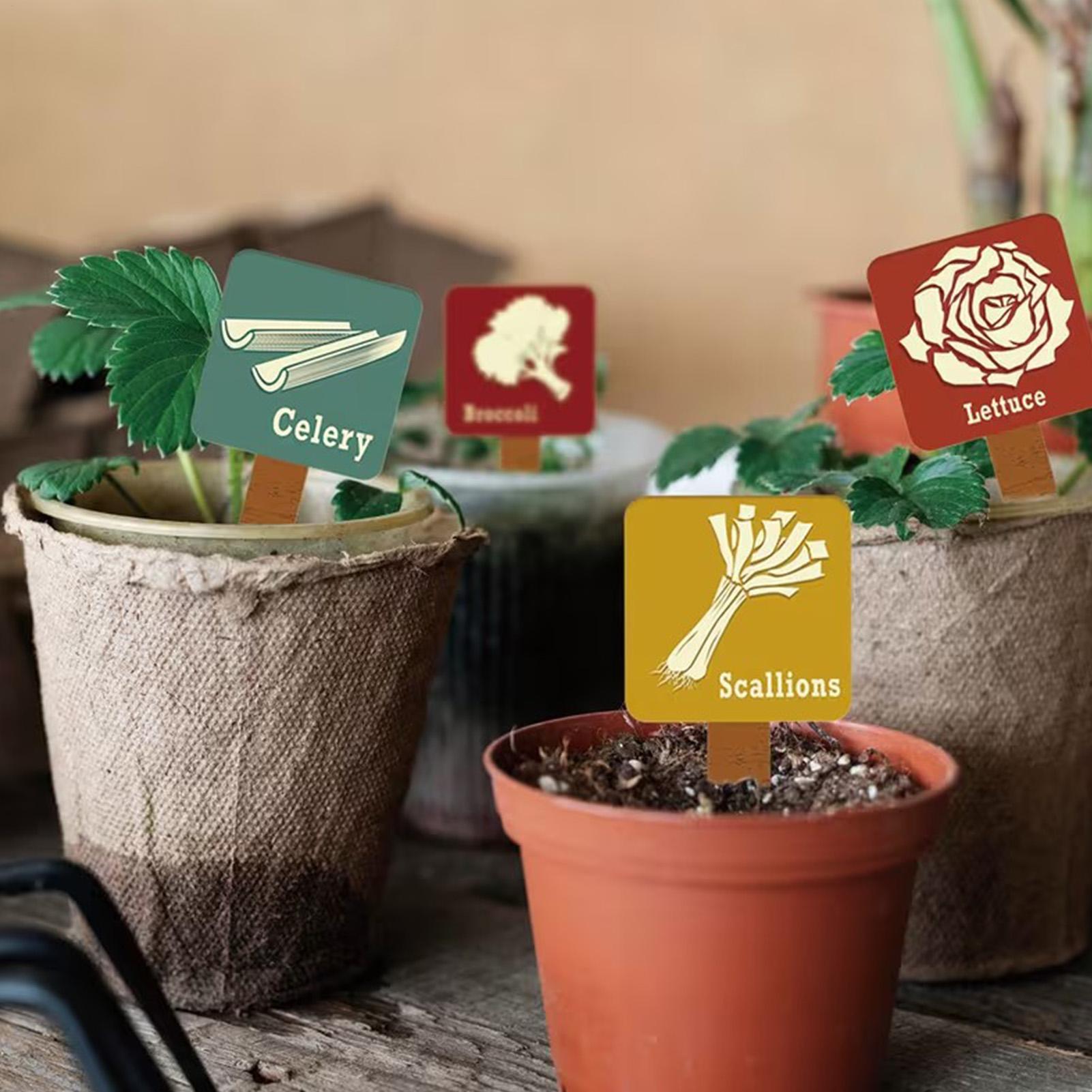 Garden Plant Markers 15 Pieces - مراجعة Garden Row Marker وسعره