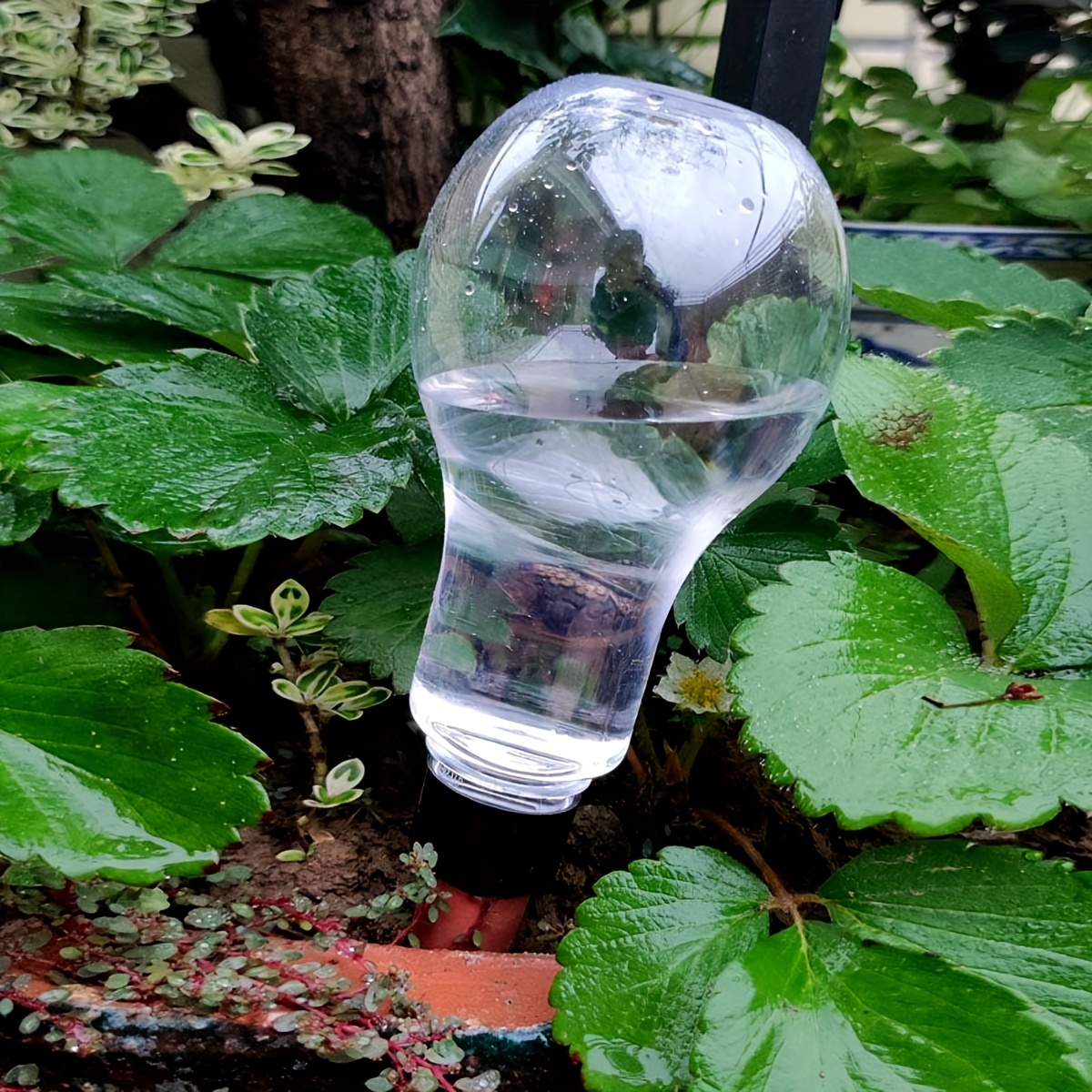 Garden Automatic Watering Tool - مراجعة Gardening Tools And Equipment وسعره