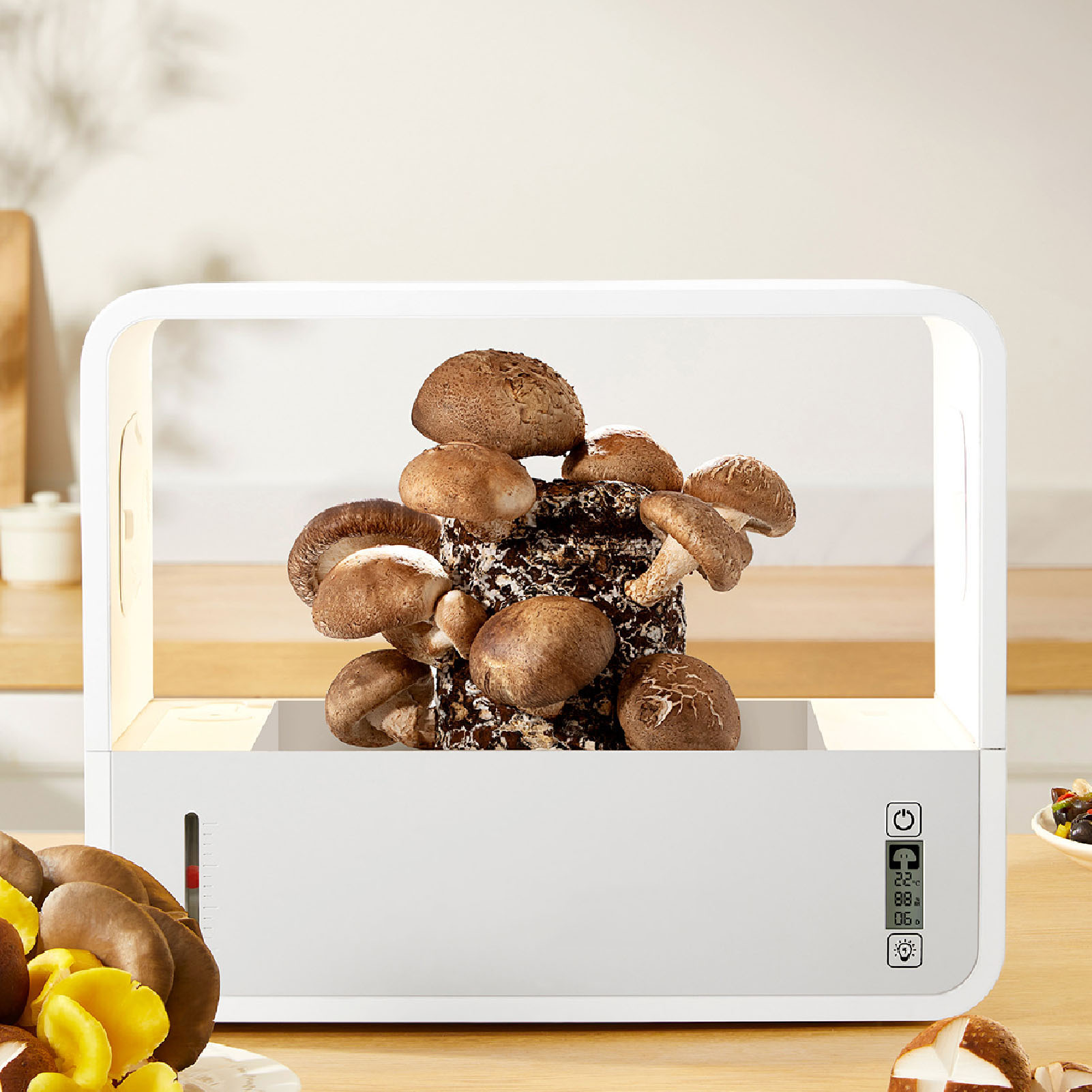 Mushroom Growing Tent Kit Smar - مراجعة Gardening Tools Brands وسعره