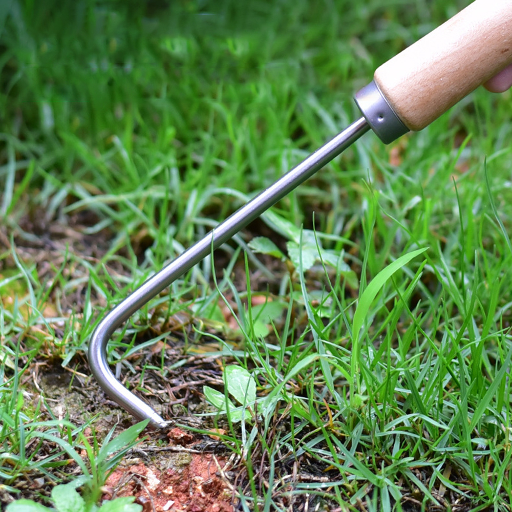 1PC Single Claw Hook Soil Loos - مراجعة Gardening Tools Store وسعره