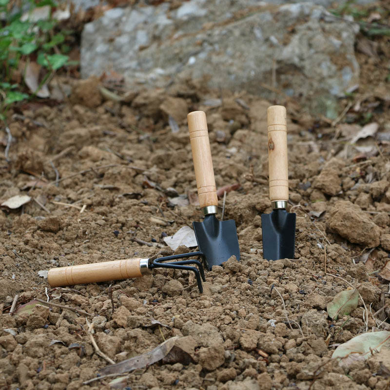 3Pcs/Set Mini Garden Tool Set  - مراجعة Gardening Tools Bundle وسعره