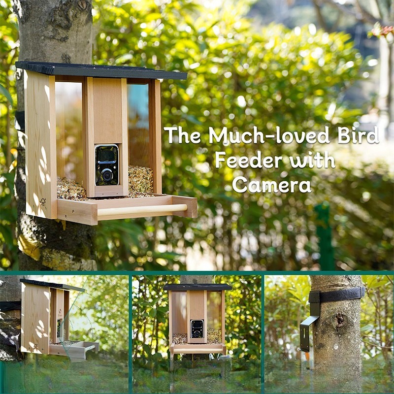AI intelligent bird feeder wit - مراجعة Gardening Tools Definition وسعره