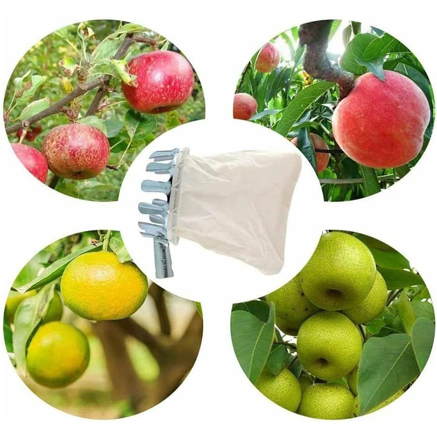 3-in-1 Fruit Harvesting Tool S - مراجعة Gardening Tools Bundle وسعره