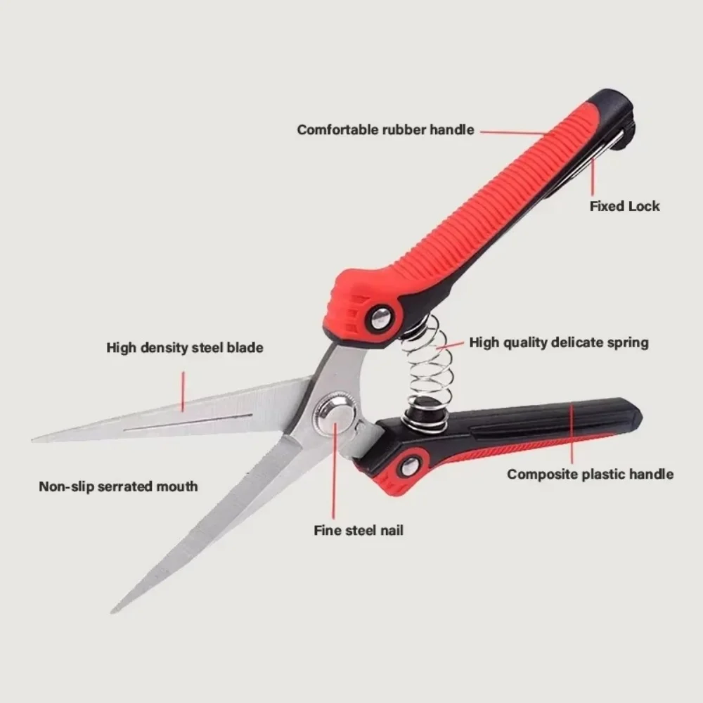 1PC Pruning Shear Branch Sciss - مراجعة Gardening Tools Sharp وسعره