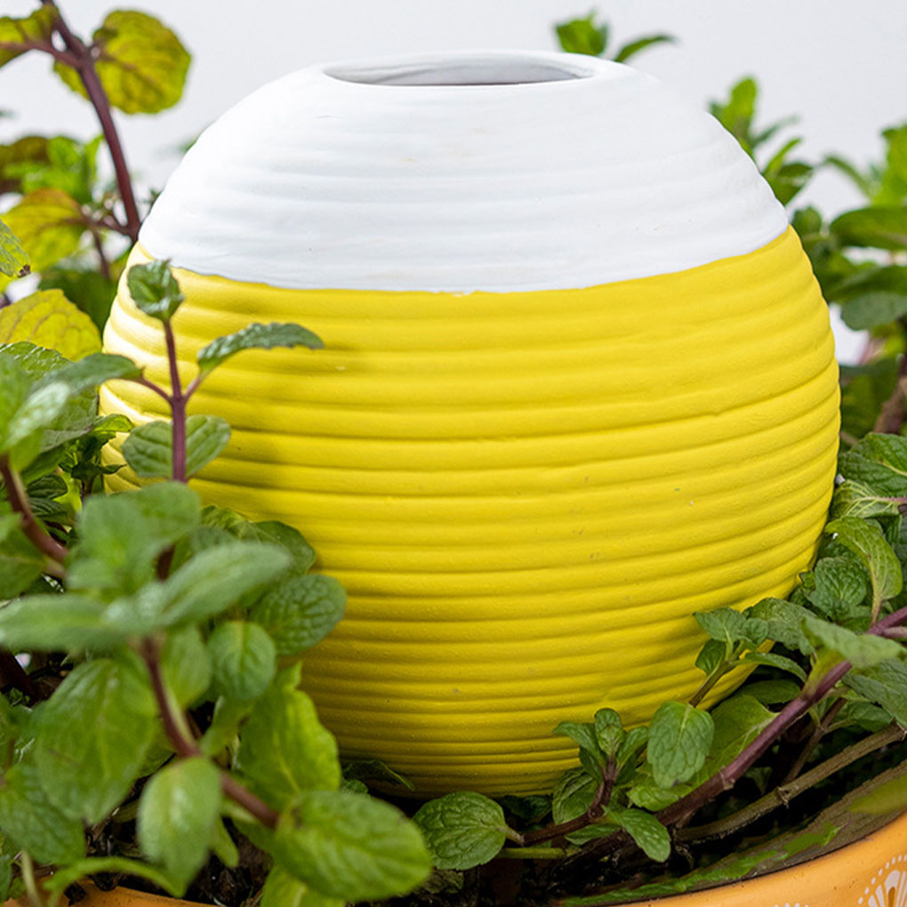 Ceramics Automatic Plant Water - مراجعة Gardening Tools You Must Have وسعره