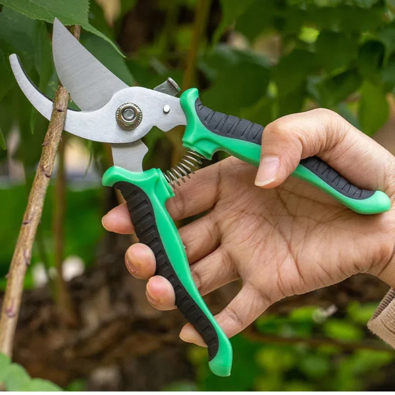 Stainless Steel Professional G - مراجعة Gardening Tools On Sale وسعره