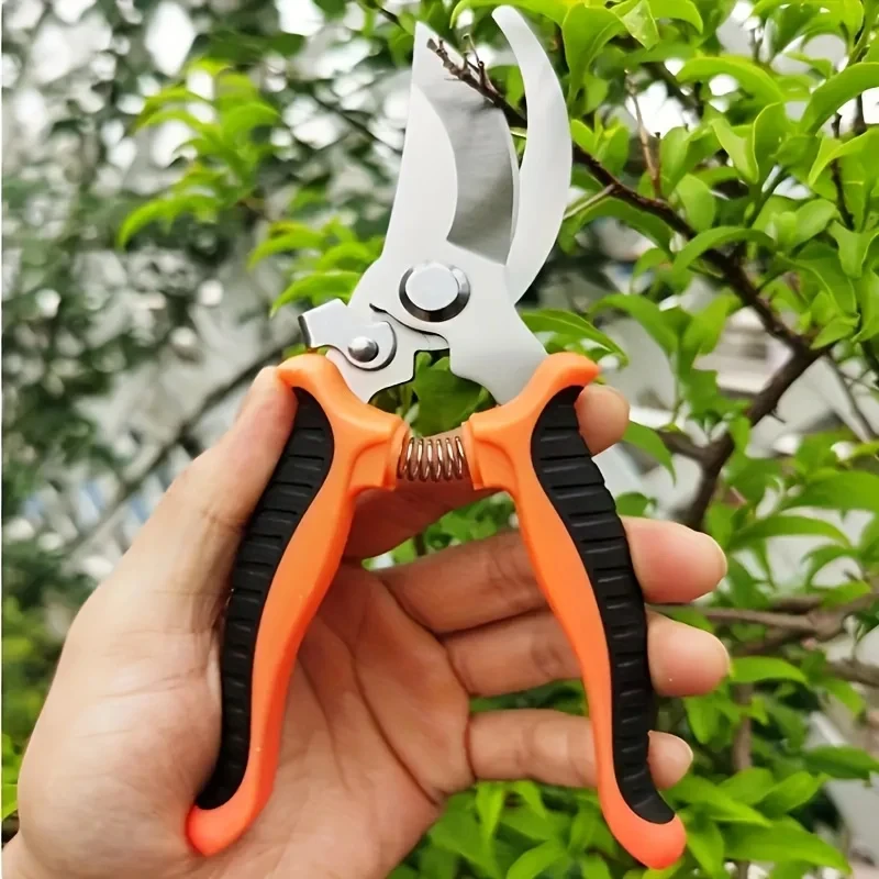 Stainless Steel Professional G - مراجعة Gardening Tools On Sale وسعره
