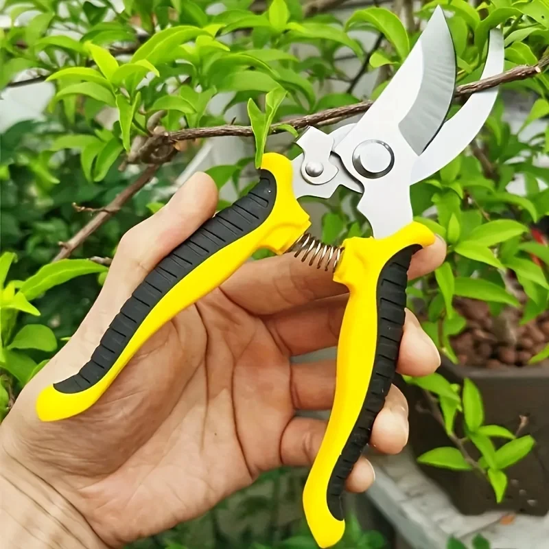 Stainless Steel Professional G - مراجعة Gardening Tools On Sale وسعره