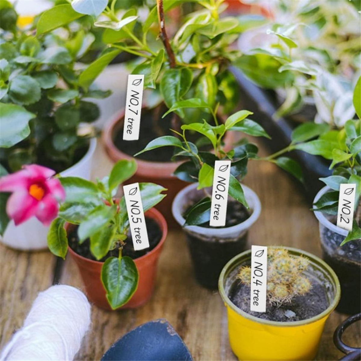 【Must-haves】Gardening tool - مراجعة Gardening Tools You Must Have وسعره