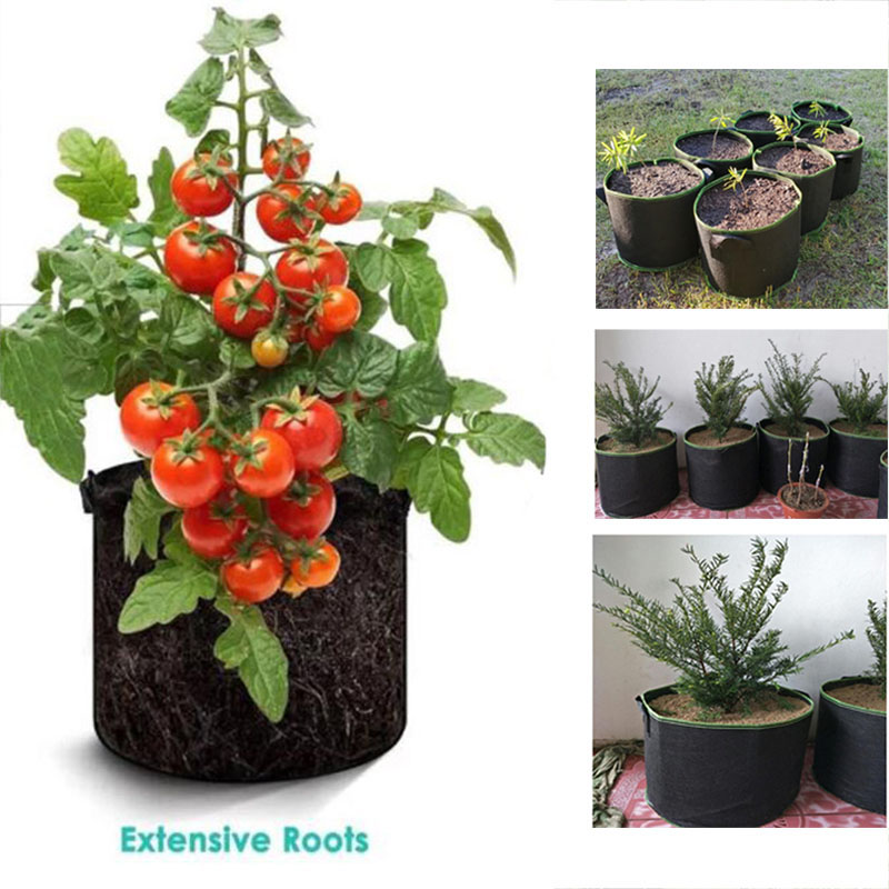 20Gal grow pots vegetable flow - مراجعة Gardening Tools Big وسعره