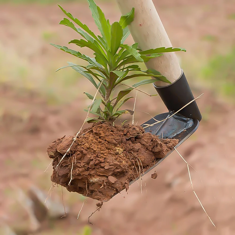 Small Hoe for Digging Soil Dur - مراجعة Gardening Tools On Sale وسعره