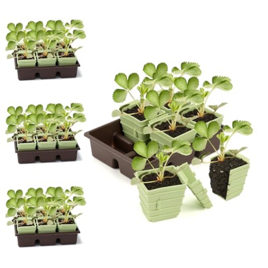 Side-Open Seed Starter Tray 8- - مراجعة Seed Starter Trays وسعره