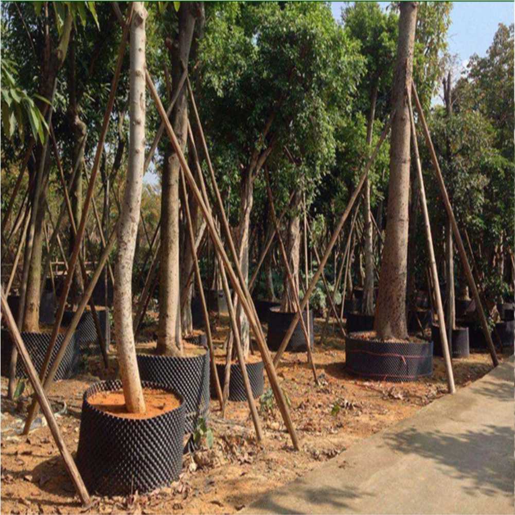 Grow Container Garden Tree Bon - مراجعة Gardening Tools وسعره