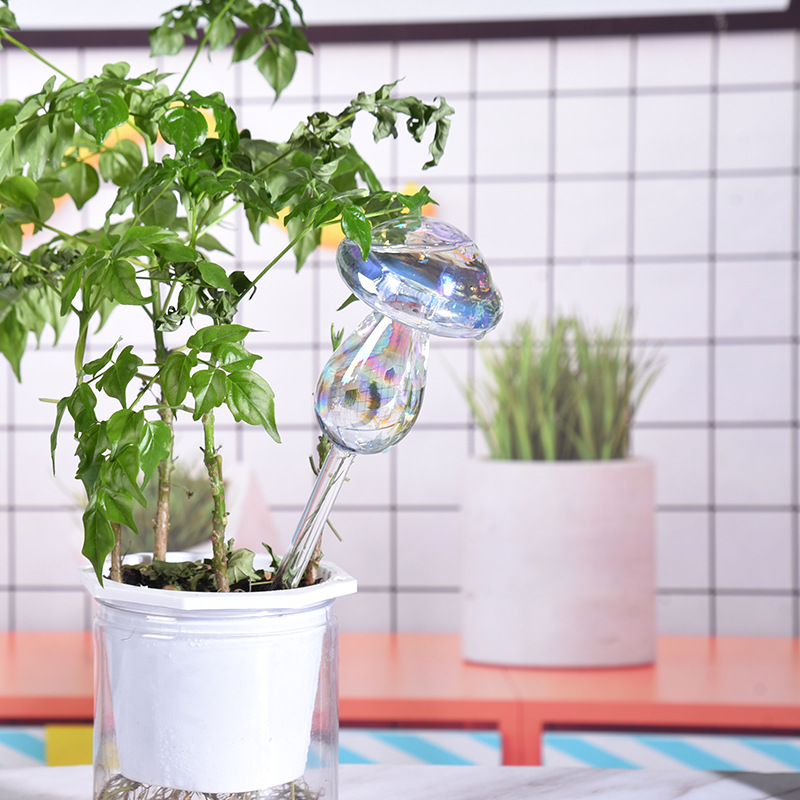 1/2PCS Glass Straw Automatic P - مراجعة Gardening Tools For Beginners وسعره