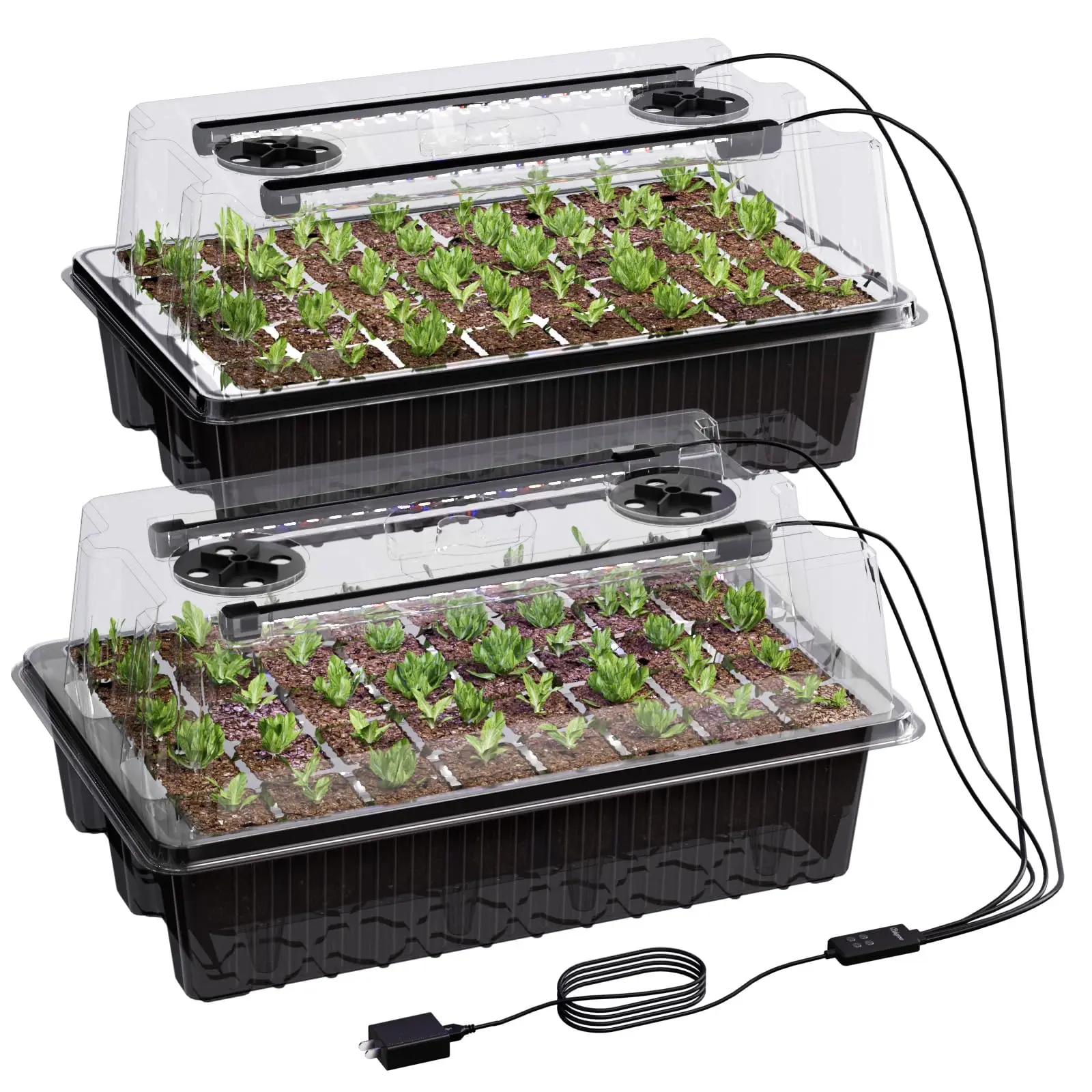 80-Cell Self-Watering Seed Sta - مراجعة Seed Starter Trays وسعره