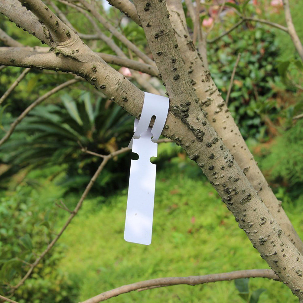100Pcs PVC Waterproof Plant Ta - مراجعة Garden Row Marker وسعره