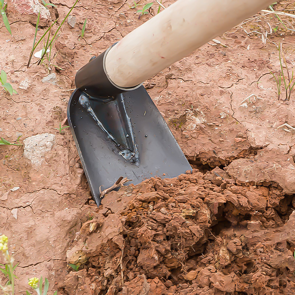 Small Hoe for Digging Soil Gar - مراجعة Gardening Tools On Sale وسعره
