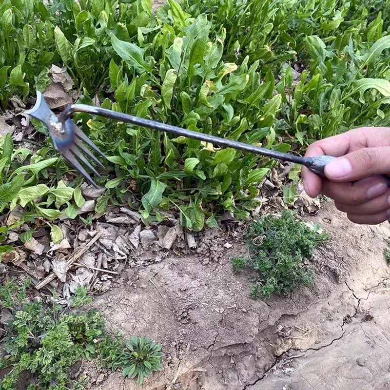 Garden Weeders Grass Hand Weed - مراجعة Gardening Tools To Remove Grass وسعره