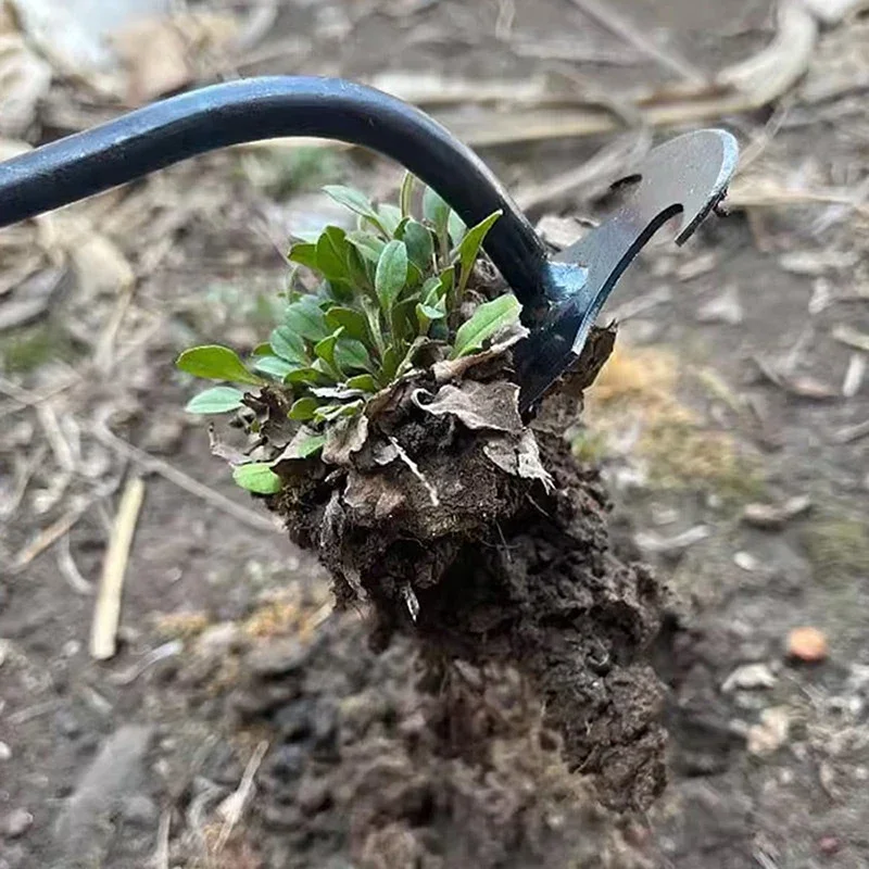Garden Weeders Grass Hand Weed - مراجعة Gardening Tools To Remove Grass وسعره