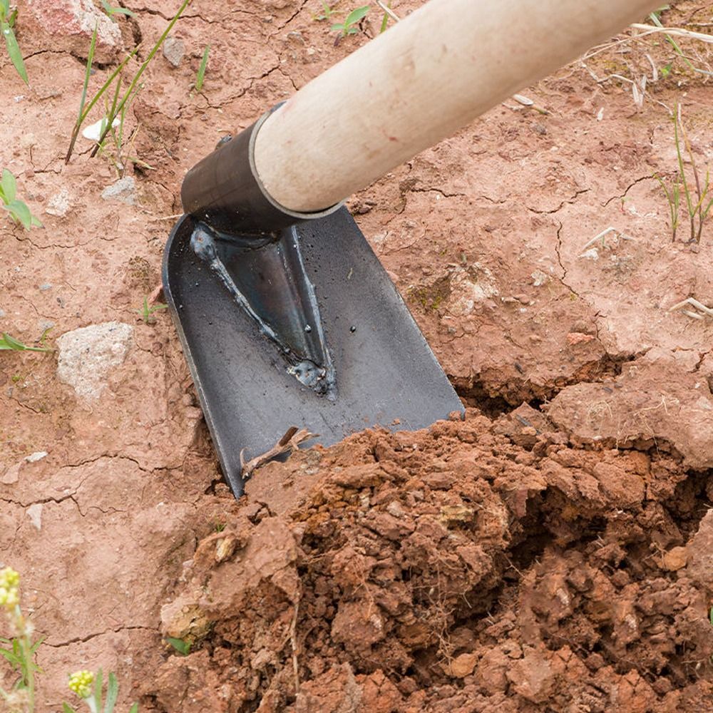Durable Garden Hoe Household O - مراجعة Gardening Tools On Sale وسعره