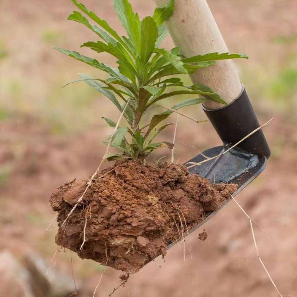 Durable Garden Hoe Household O - مراجعة Gardening Tools On Sale وسعره