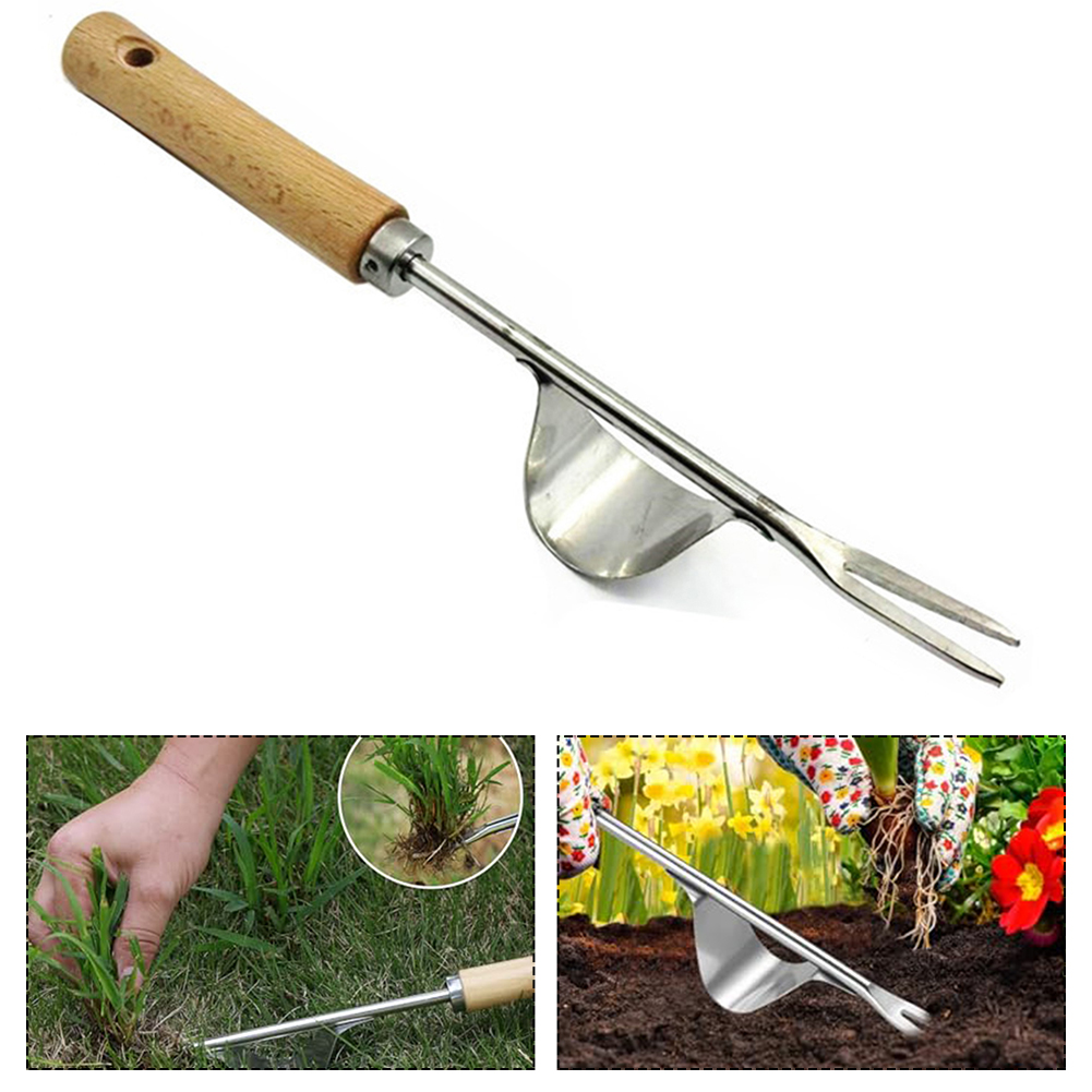 1PCS Stainless Steel Manual-We - مراجعة Gardening Tools To Remove Grass وسعره