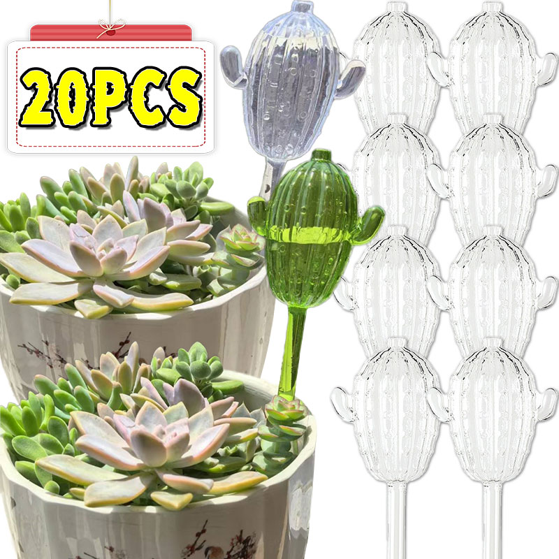Unique Clear Plant Watering Ca - مراجعة Gardening Tools For Beginners وسعره
