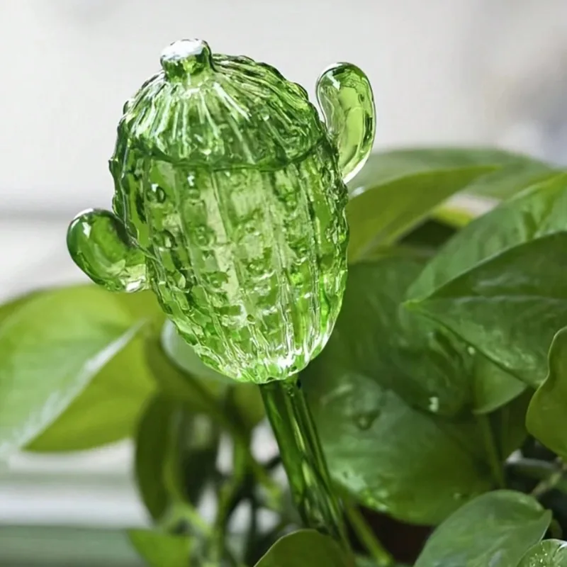 Unique Clear Plant Watering Ca - مراجعة Gardening Tools For Beginners وسعره