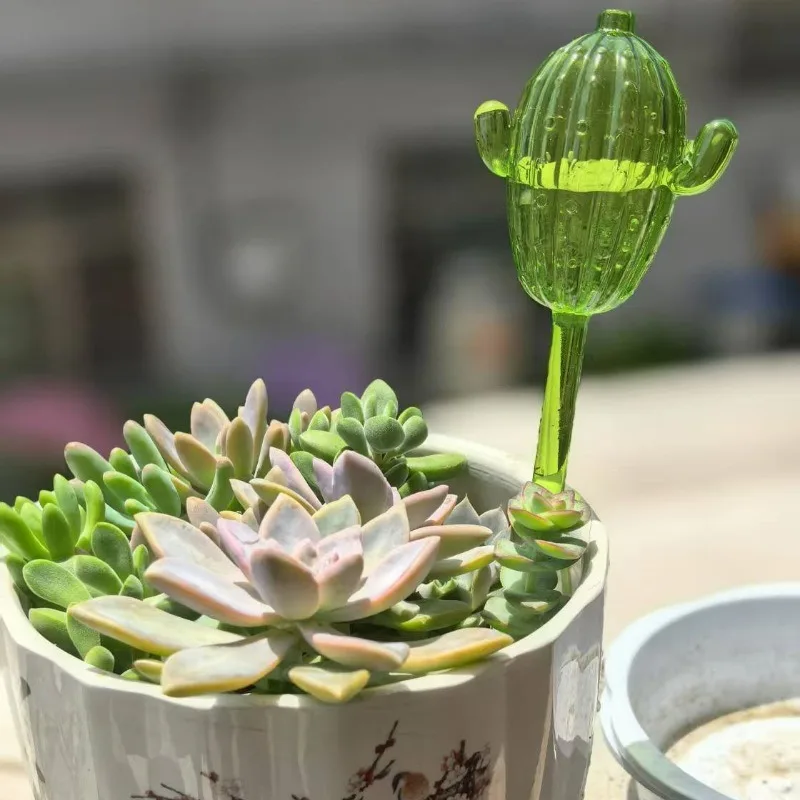 Unique Clear Plant Watering Ca - مراجعة Gardening Tools For Beginners وسعره