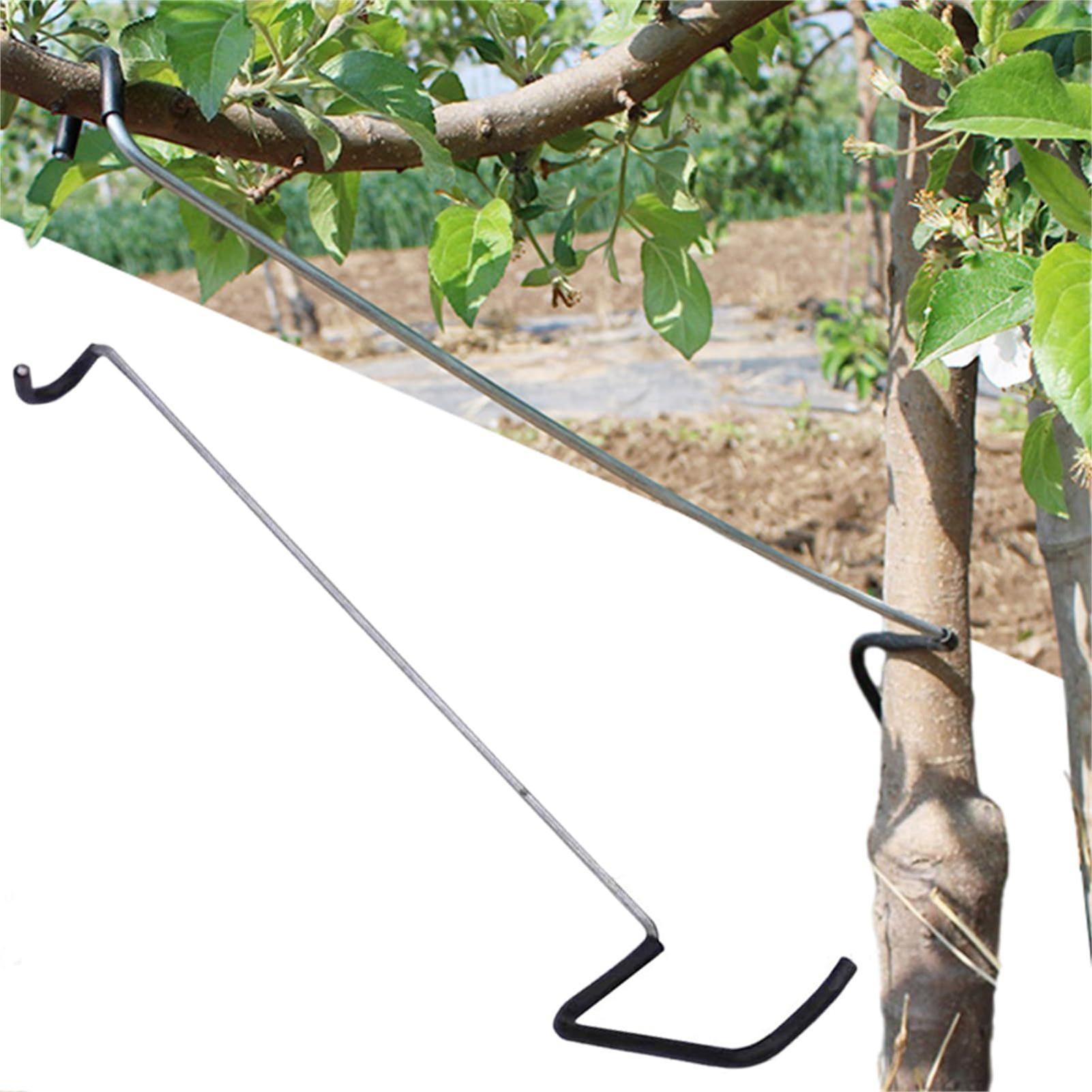 Fruit Tree Branch Spreader 10P - مراجعة Gardening Tools Bundle وسعره