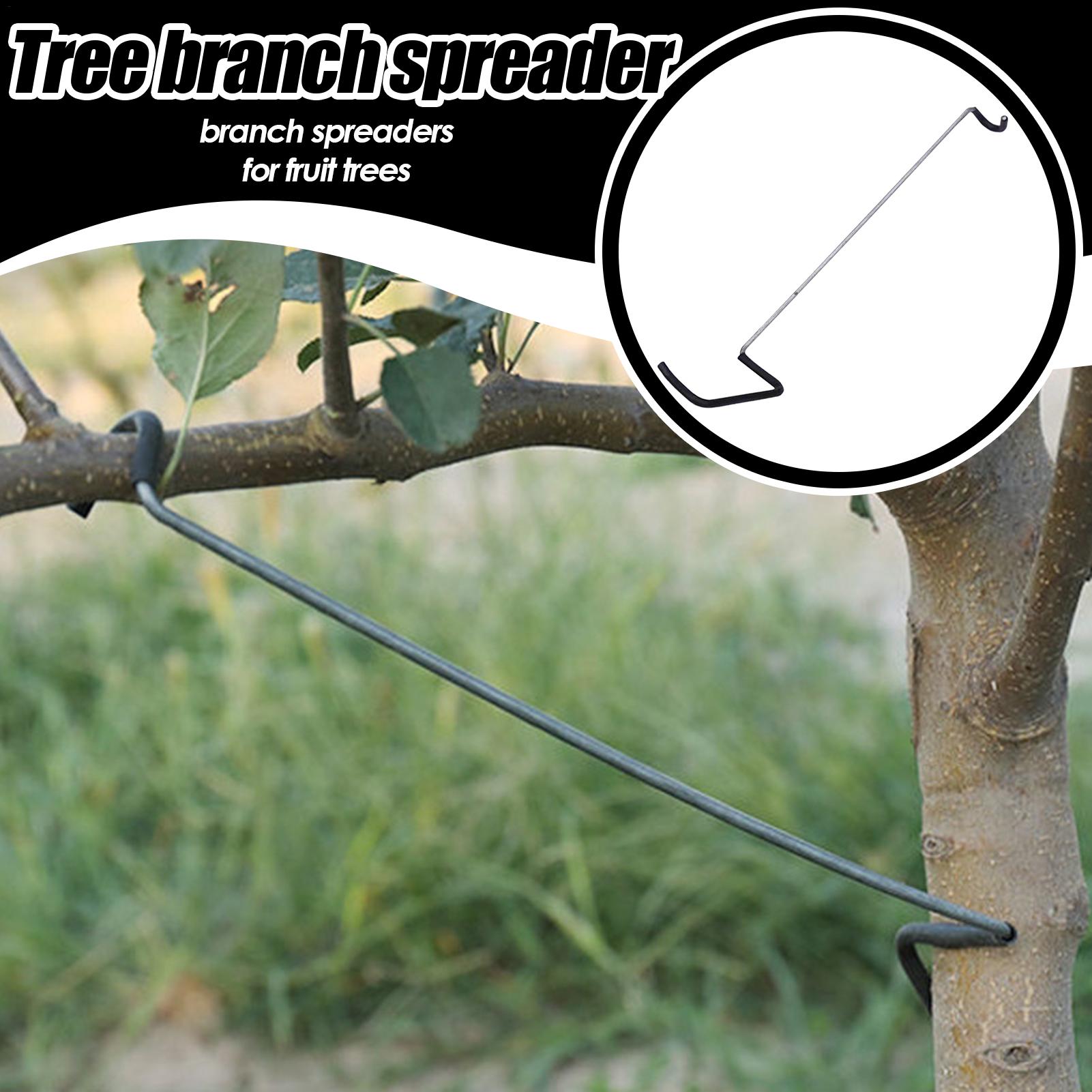 Fruit Tree Branch Spreader 10P - مراجعة Gardening Tools Bundle وسعره