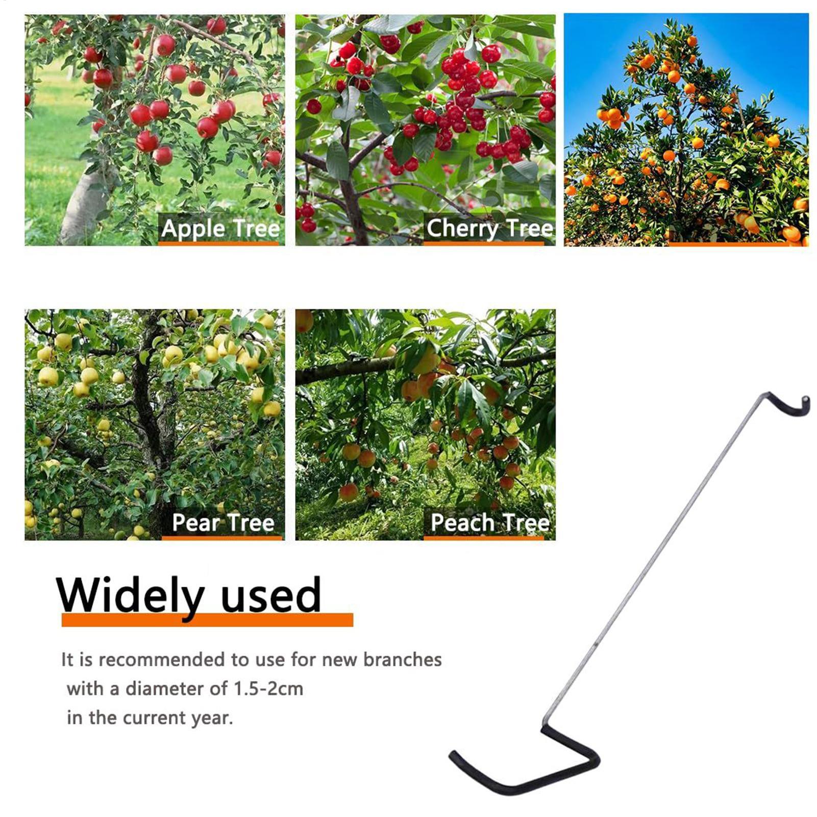 Fruit Tree Branch Spreader 10P - مراجعة Gardening Tools Bundle وسعره