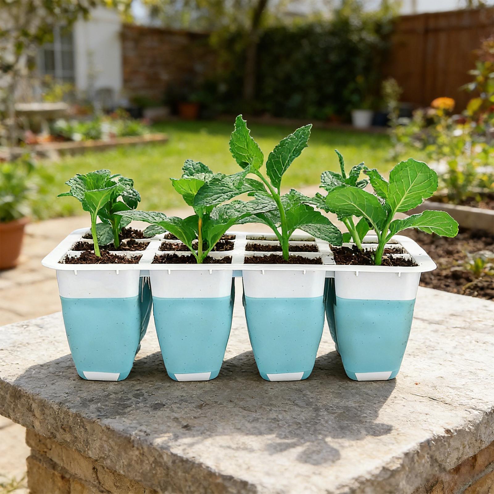 5 Pack Silicone Seed Starter T - مراجعة Seed Starter Trays وسعره