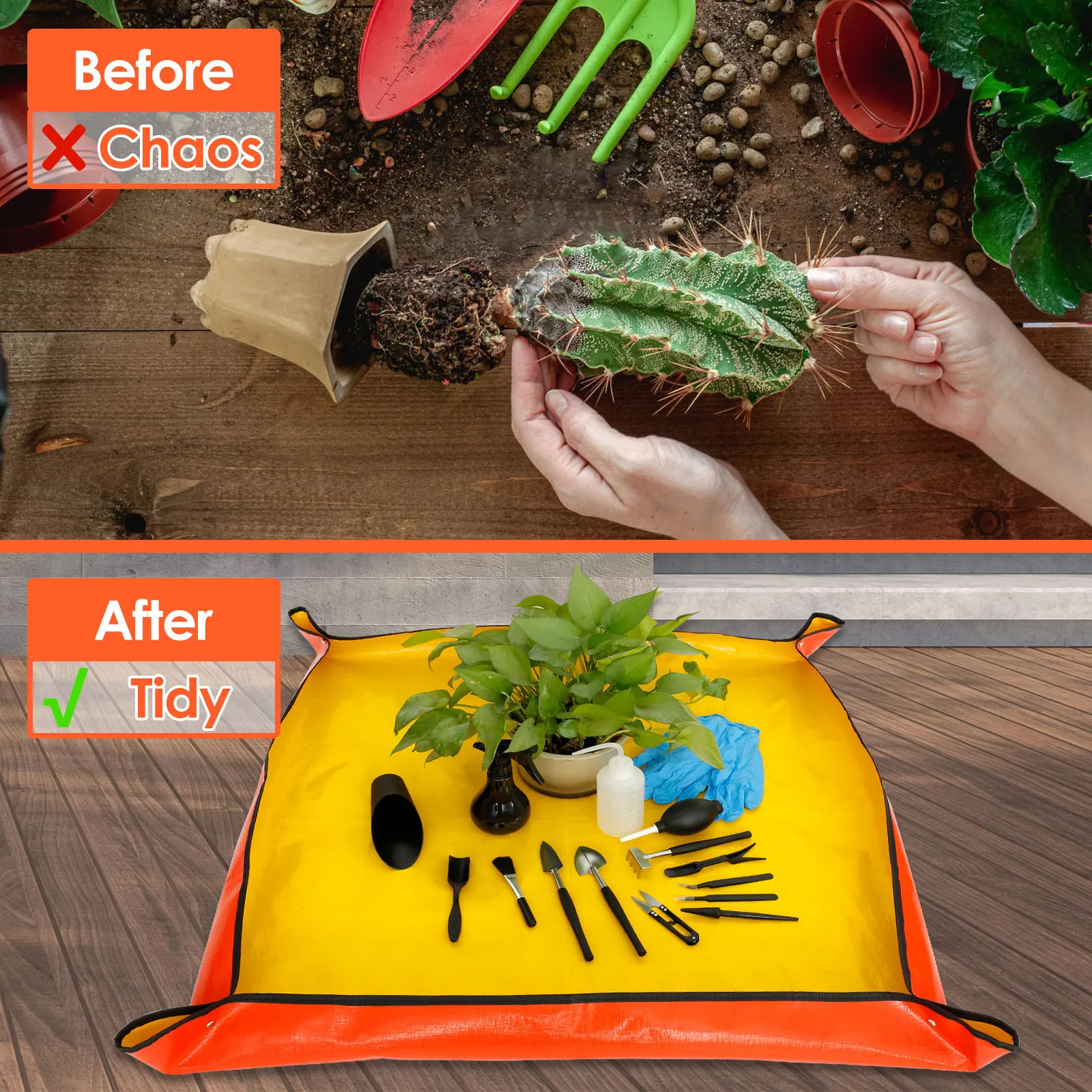 13/16Pcs Garden Succulent Plan - مراجعة Gardening Tools Store وسعره