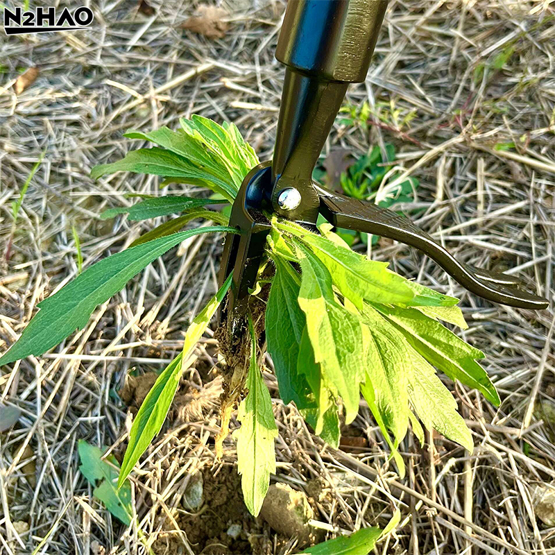 Stainless Steel Weeders Hand V - مراجعة Gardening Tools To Remove Grass وسعره