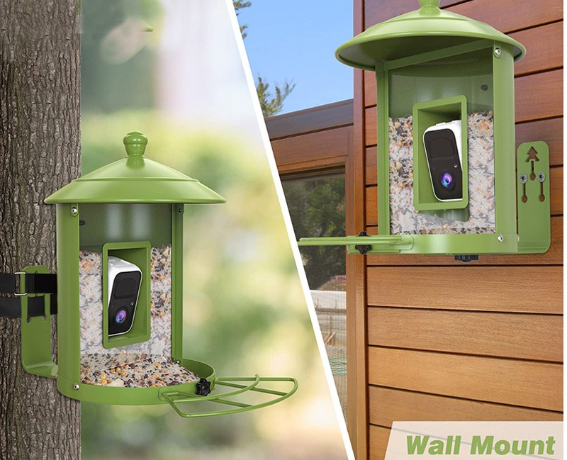 AI intelligent bird feeder wit - مراجعة Gardening Tools Definition وسعره