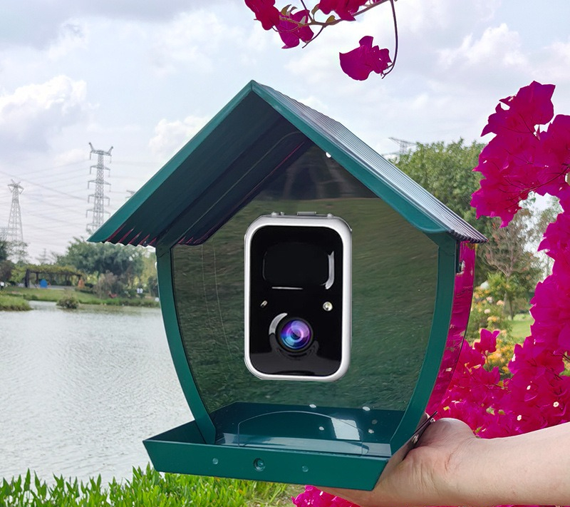 AI intelligent bird feeder wit - مراجعة Gardening Tools Definition وسعره