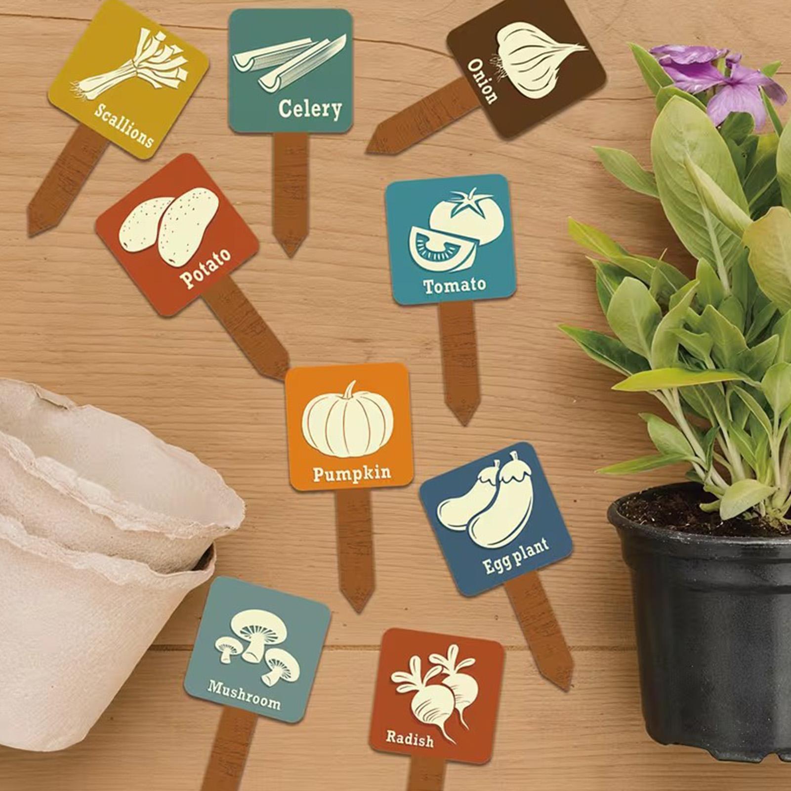 Vegetable Garden Signs 15 Piec - مراجعة Garden Row Marker وسعره
